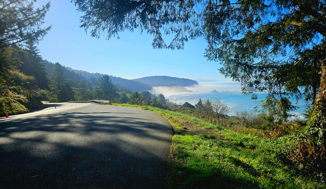 The Audacity of Movement