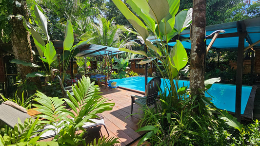 Arboura Eco Cabins Review: A Slow-Season Stay in Uvita, Costa Rica