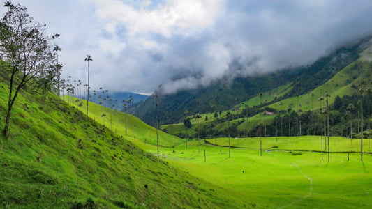 Why back to blogging?