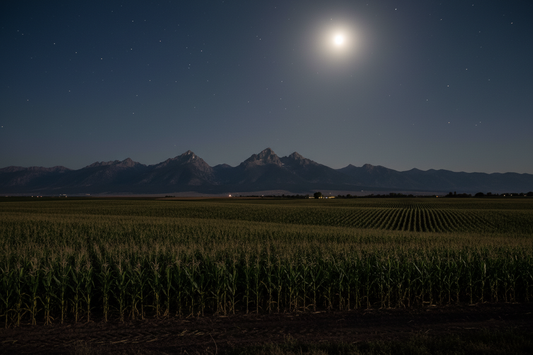 In case of self ejection - 30 Minute writing exercise